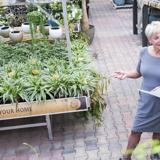 Nieuwsbrief tuin en dier - Grs Retail Productdata Klaarstomen Voor Omnichannel Experience (2) (1)
