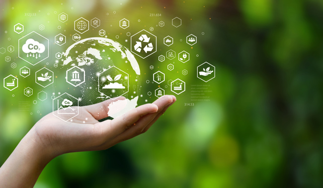 Services - Adobestock 499125928