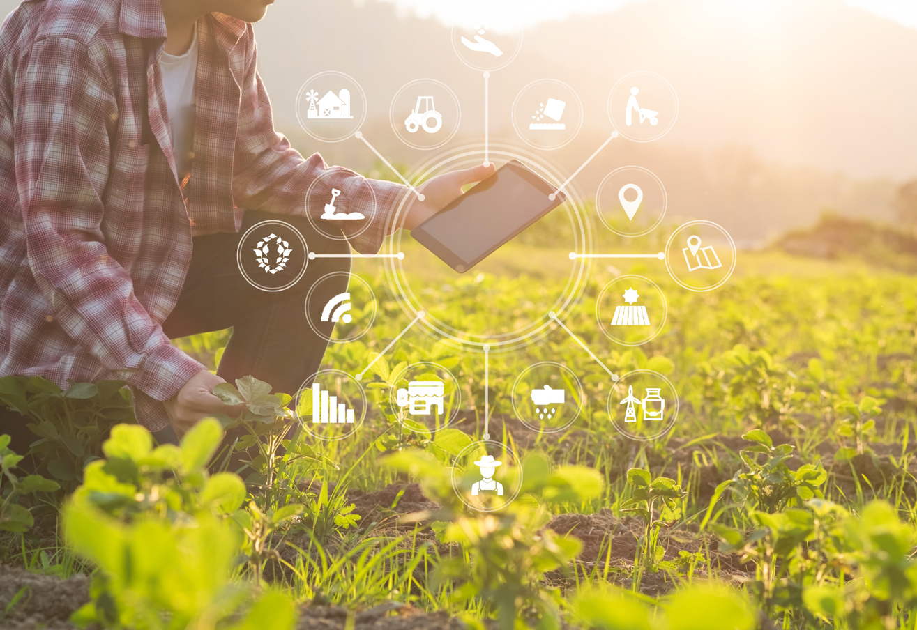 Efficiënte en duurzame keten - Adobestock 207517197